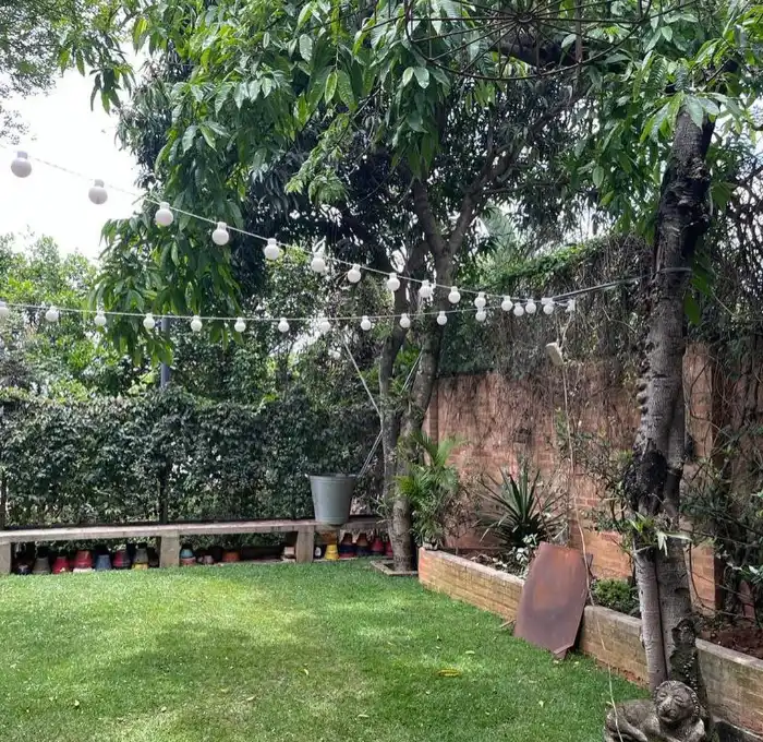 Area Externa